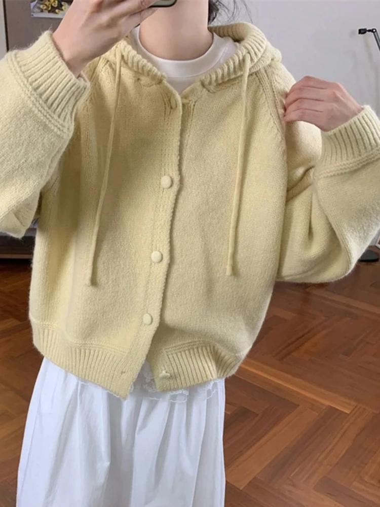 

Korobov Autumn Korean Loose Solid Hooded Long Sleeve Single Breasted All Match Cardigan