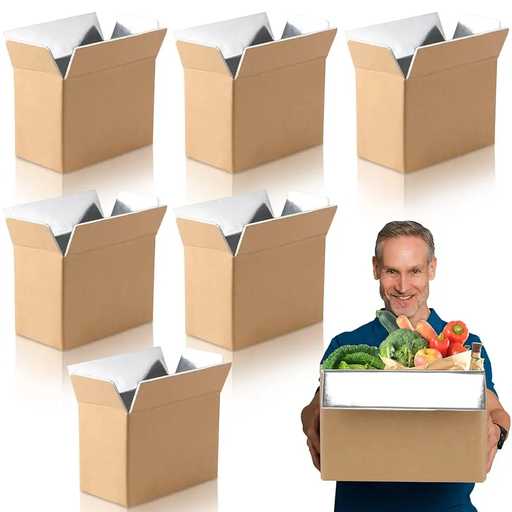 

6 Pack Insulated Shipping Box 10.6 x 6.1 x 7.9 Inch Foil Cooler Carton Moving Kits for Mailing Packing Frozen Food(10.6 x 6.1