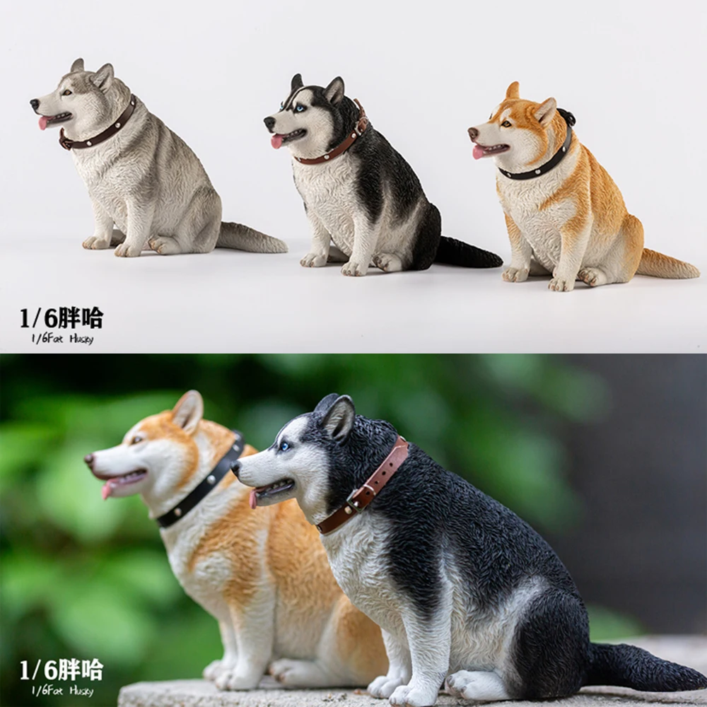 

Женская модель животного в масштабе 1/6 JXK092 Fat Husky, модель с имитацией животного, подходит для 12 дюймов, экшн-фигурка, сцена, аксессуары, игрушка, подарок, коллекционные украшения