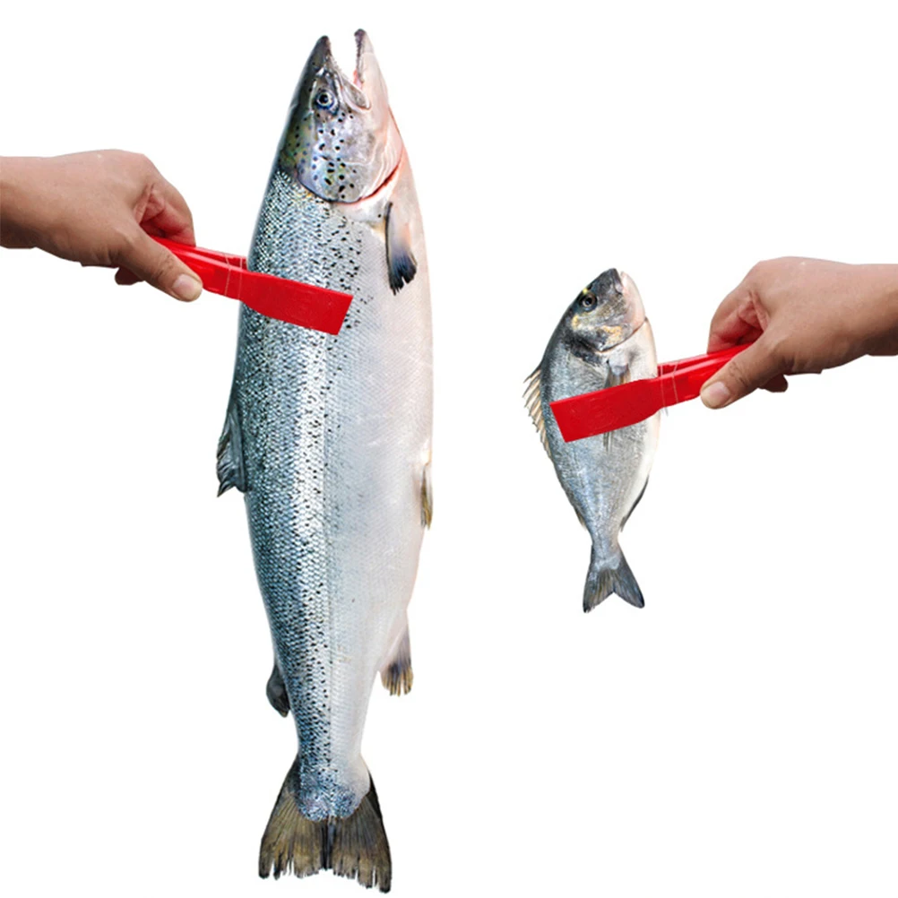 

Multifunctional Fishing Tongs ABS Mouth Small Teeth Hold Fish Freshwater Tool for Small Medium Fish