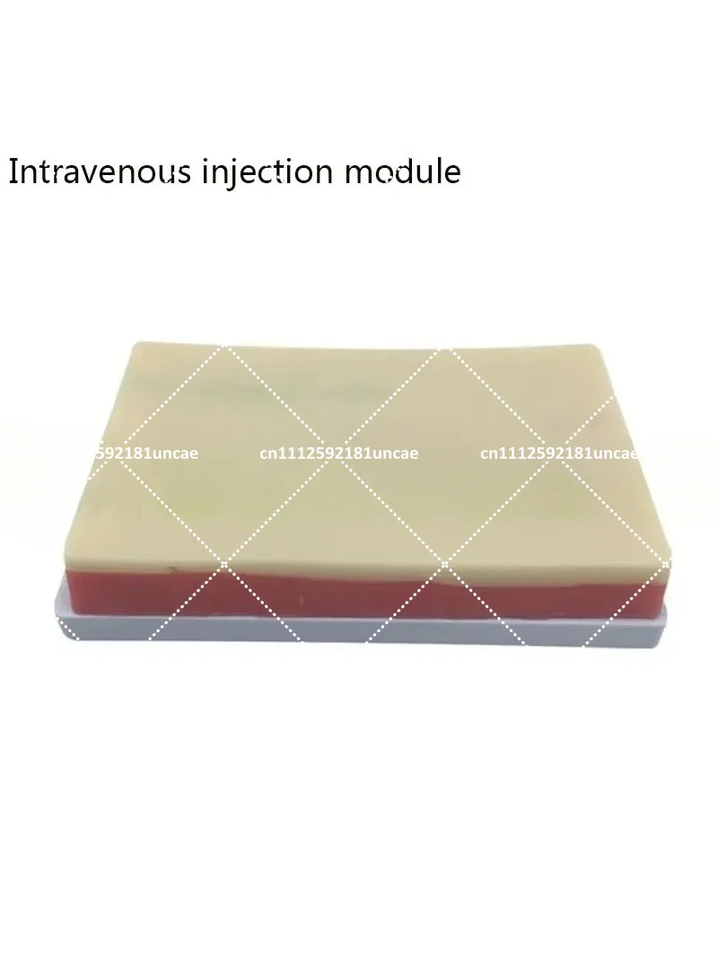 Complete Arm Vein Puncture Training Model for IV Infusion Injection Phlebotomy Venipuncture Practice