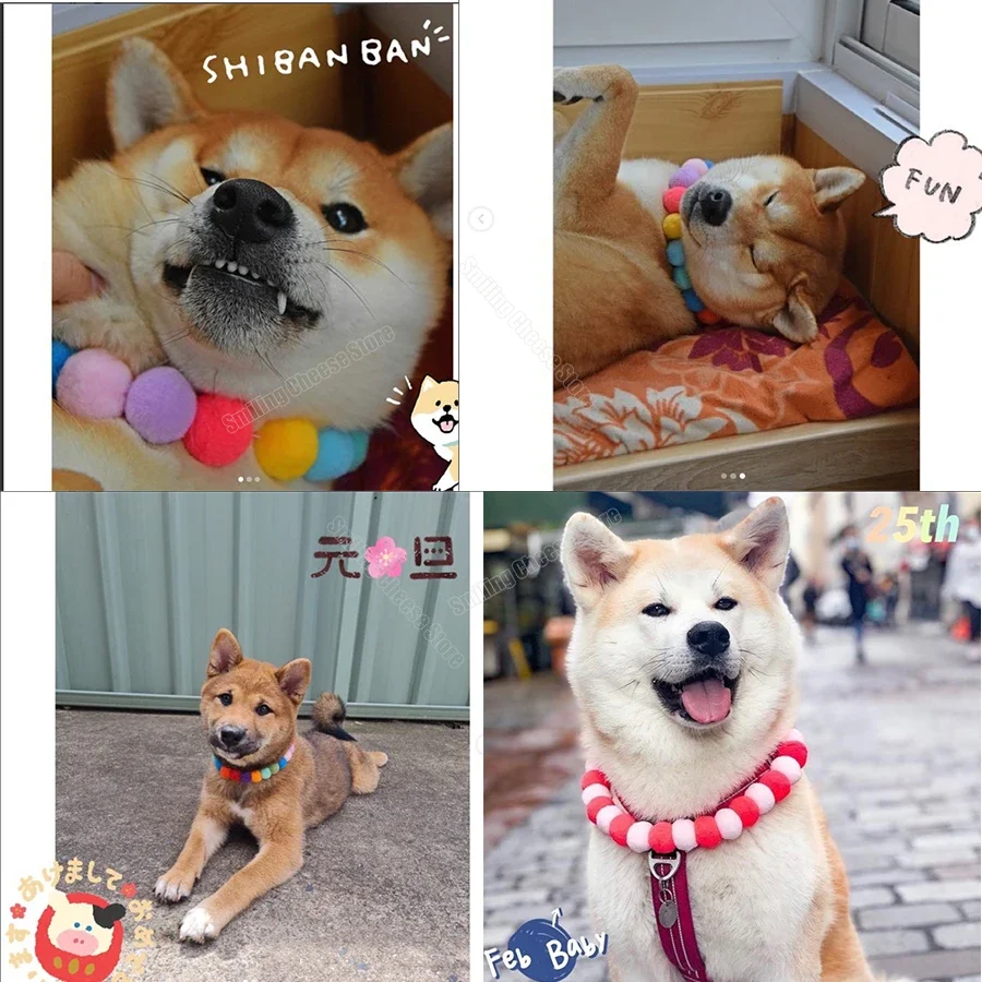 Smiling Cheese Korean Fashion Soft Pet Dog Cat Flower Necklace  Decoration Collar for Dogs Cats Puppy Kitty Decoration Shiba Dog