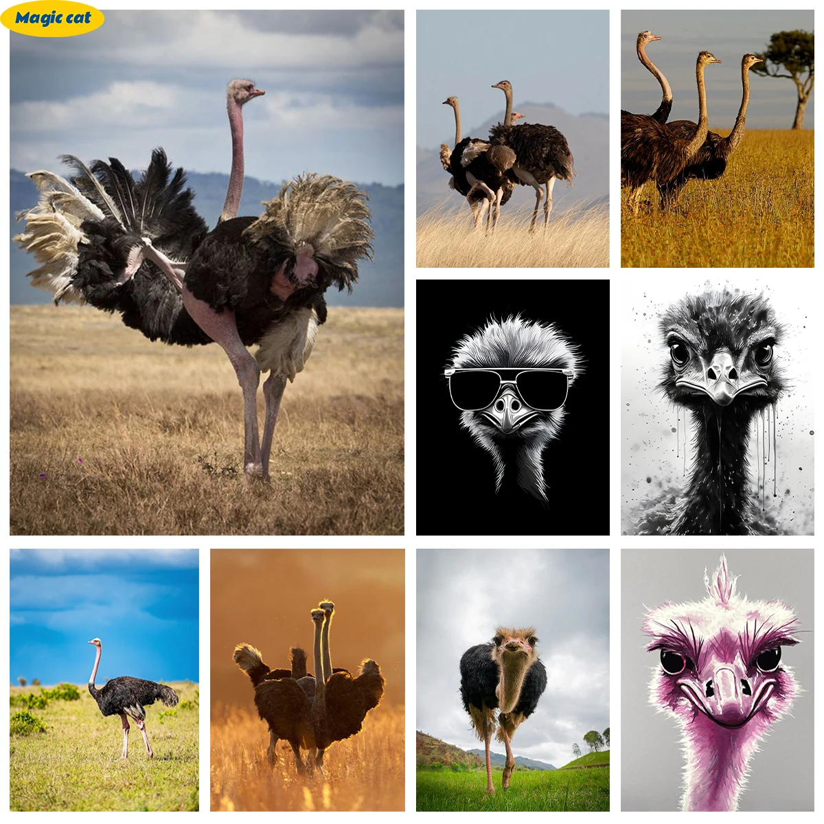 

Ostrich 5D Diamond Painting African Ostrich Portrait DIY Diamond Embroidery Cross Stitch Animal Home Wall Decor Handmade Gifts