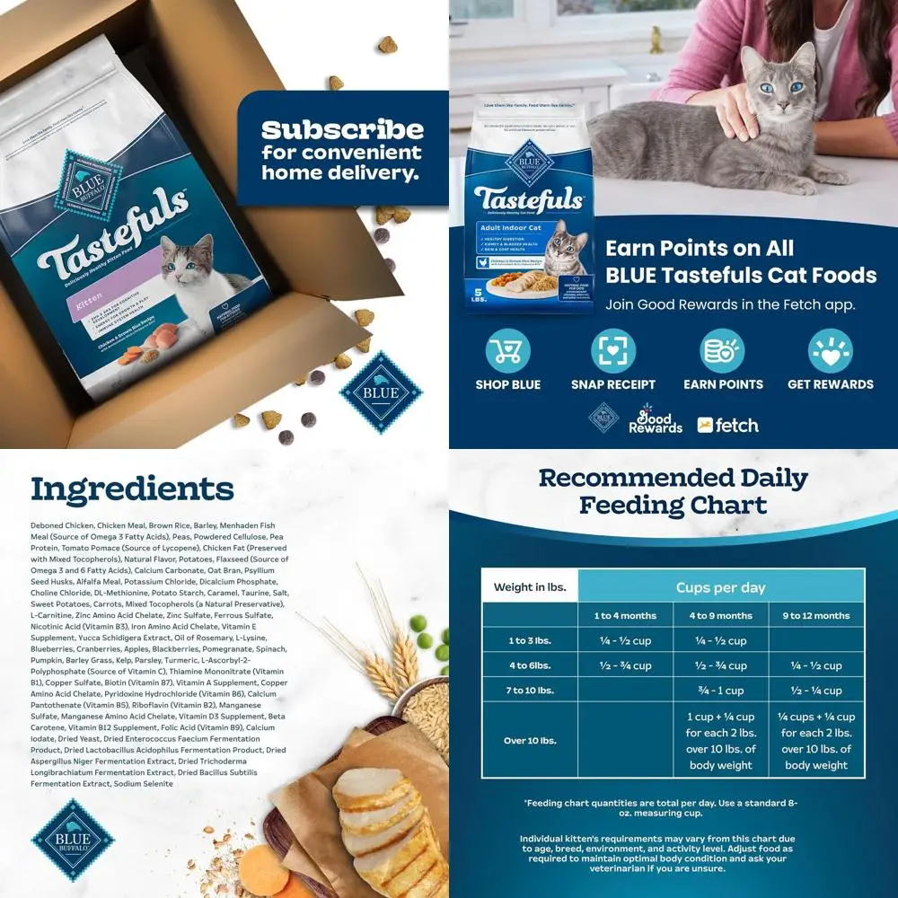 

USA-Made Natural Chicken Recipe Dry Cat Food with DHA, 7 lbs