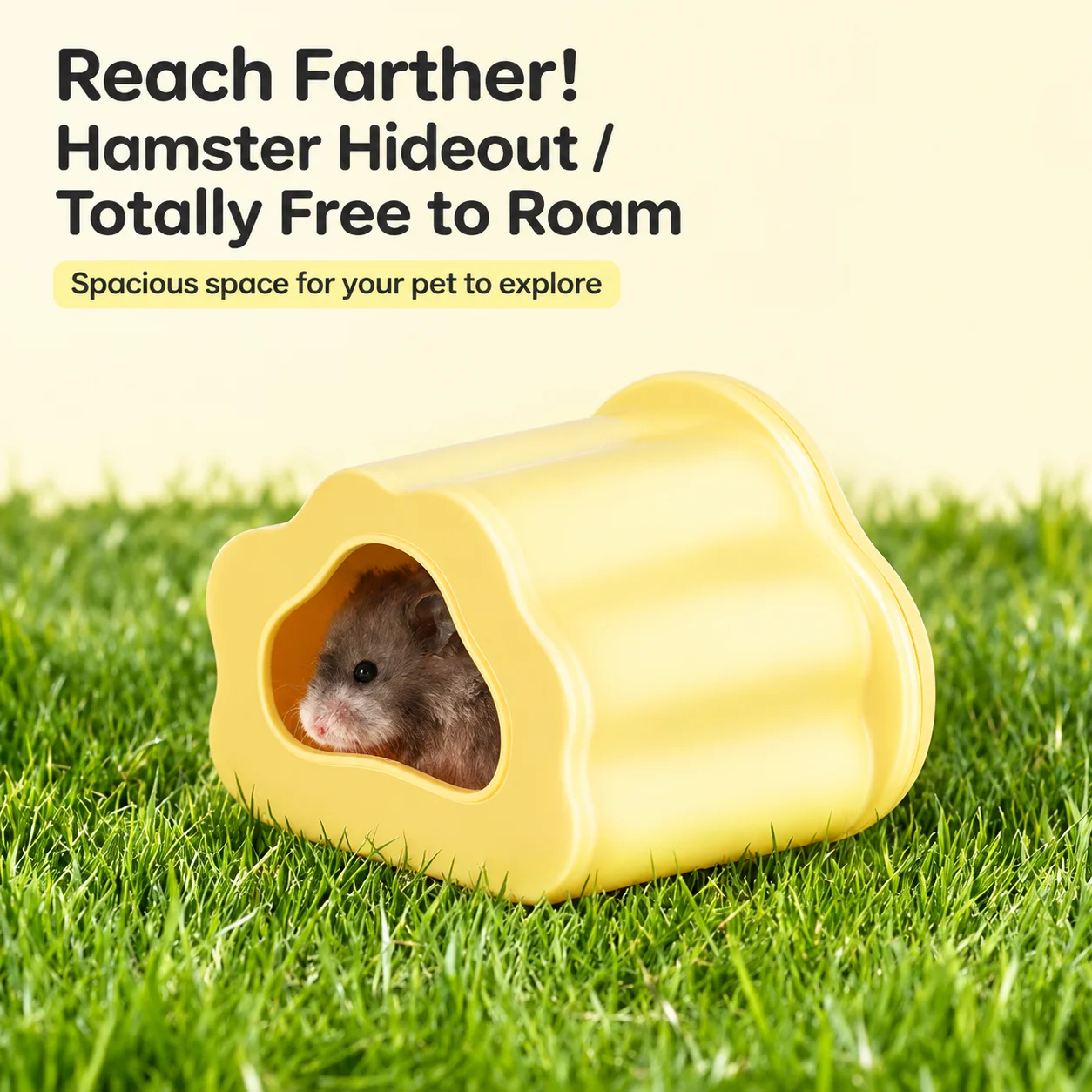 Magnetic Transparent Hamster Hideout Visible Observation House For Syrian Golden Bear