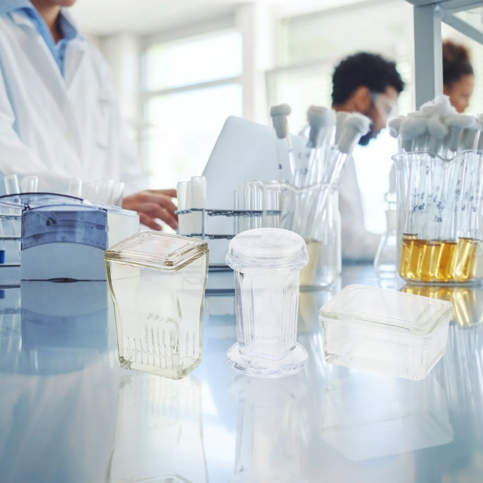 

Round Lid Glass Staining Jar Round Lid Glass Staining Tank Laboratory Staining Jar Laboratory Glass Staining Jar