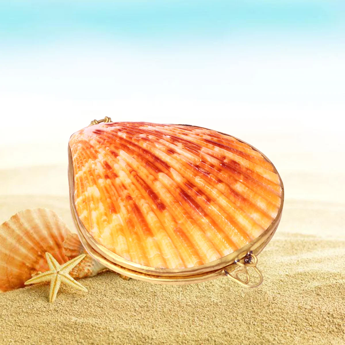 7 -8cm Shell Jewelry Box Top-grade Quality Ring Earring Container Bracket Bedroom Storage Sundries Organizer Bag Safe