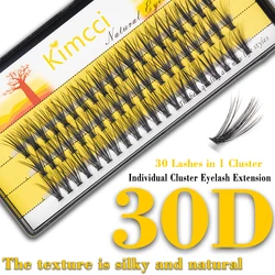 30D Natural 3D Individual Eyelash Extension Cluster Faux Eyelashes 60 Bundles/box Professional Makeup Mink Flare Lashes as Silk