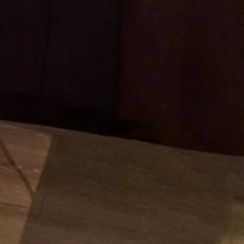 

Korean Style Fashion Floral Sweet Lace Suspender Jumpsuit For Women