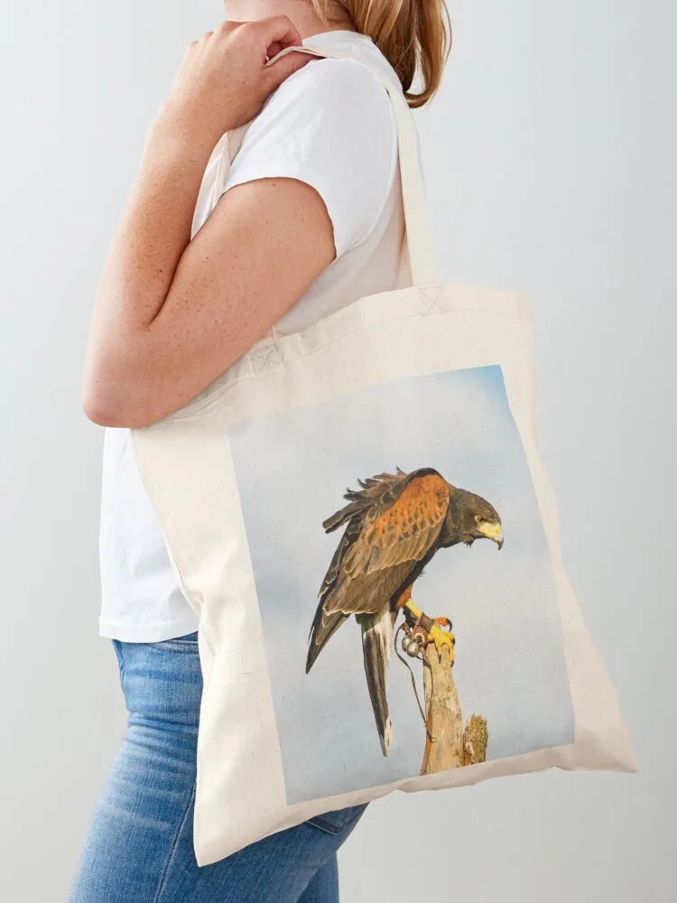 

Harris Hawk on watch Tote Bag bag for beach hand bags Canvas shoulder bag reusable shopping