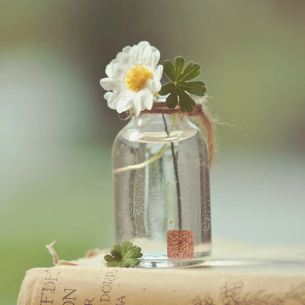 

12Pcs Water Grass Fixed Ring Pottery Aquarium Plant Holder Heavy Duty Fish Tank Landscape Decoration Ring for Underwater Plants