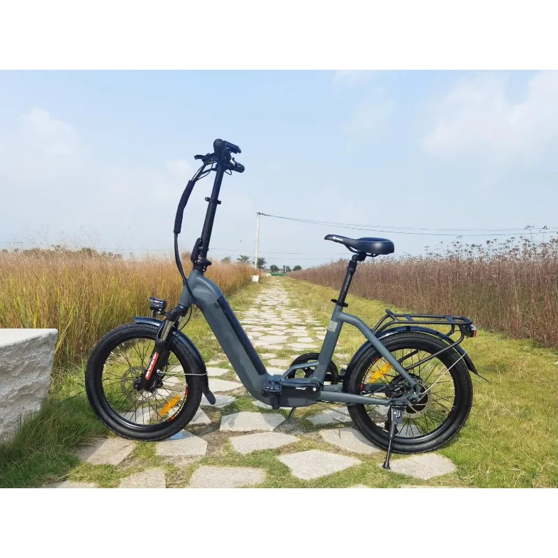 Folding City Electric Bike  36V 350W Rear Motor 20 Inch E Bike Electric Bicycle for Woman - view 6