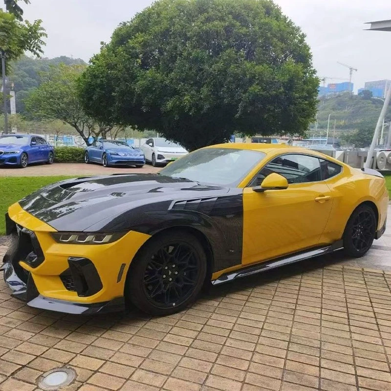 Cost Effective Wet Carbon Lightweight Side Fit 2024 Automotive Accessories