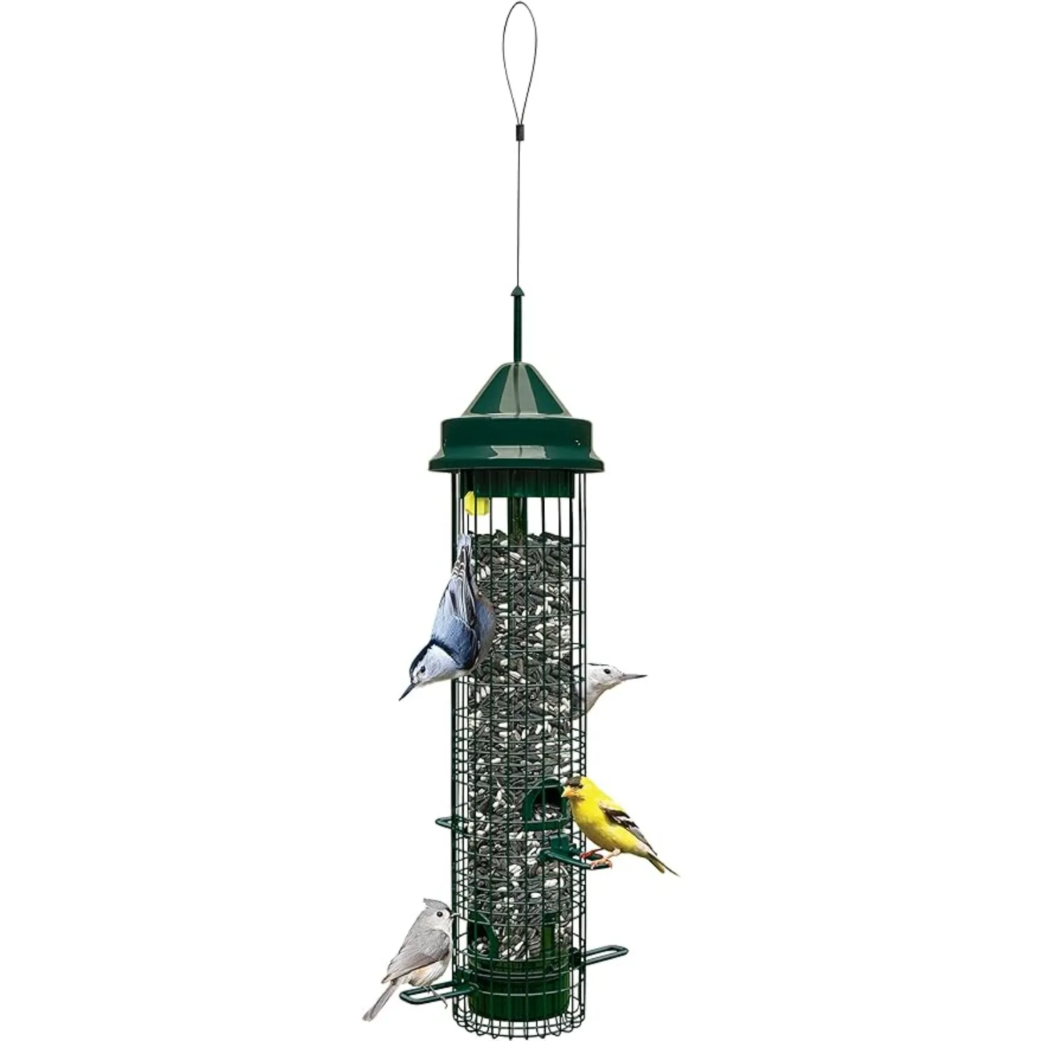 Classic Squirrel-proof Bird Feeder w/4 Feeding Ports, 2.4-pound Seed Capacity