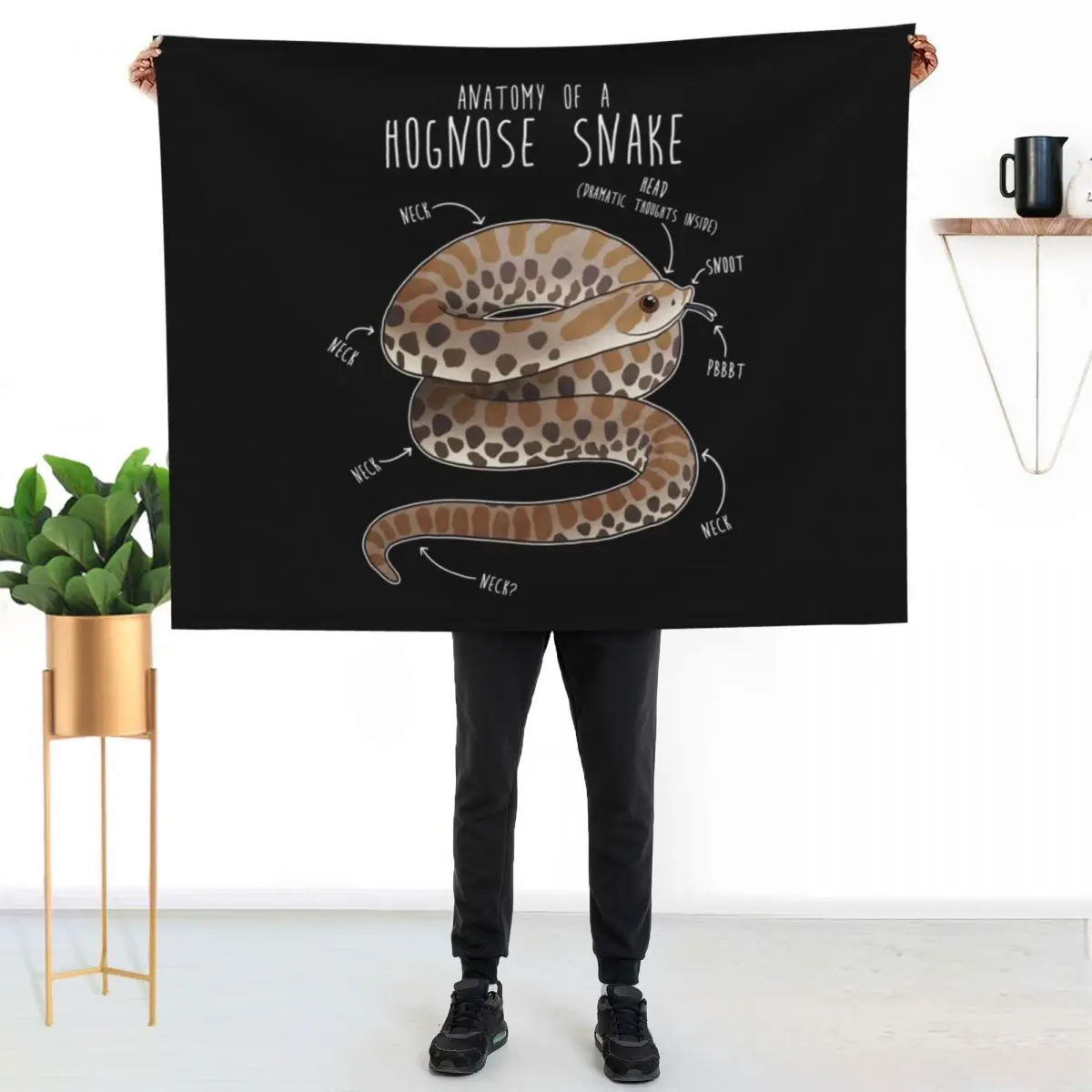 Anatomy of a Hognose Snake Throw Blanket Nap Multi-Purpose Soft Beds Sofa Quilt sofa bed Plaid Blankets