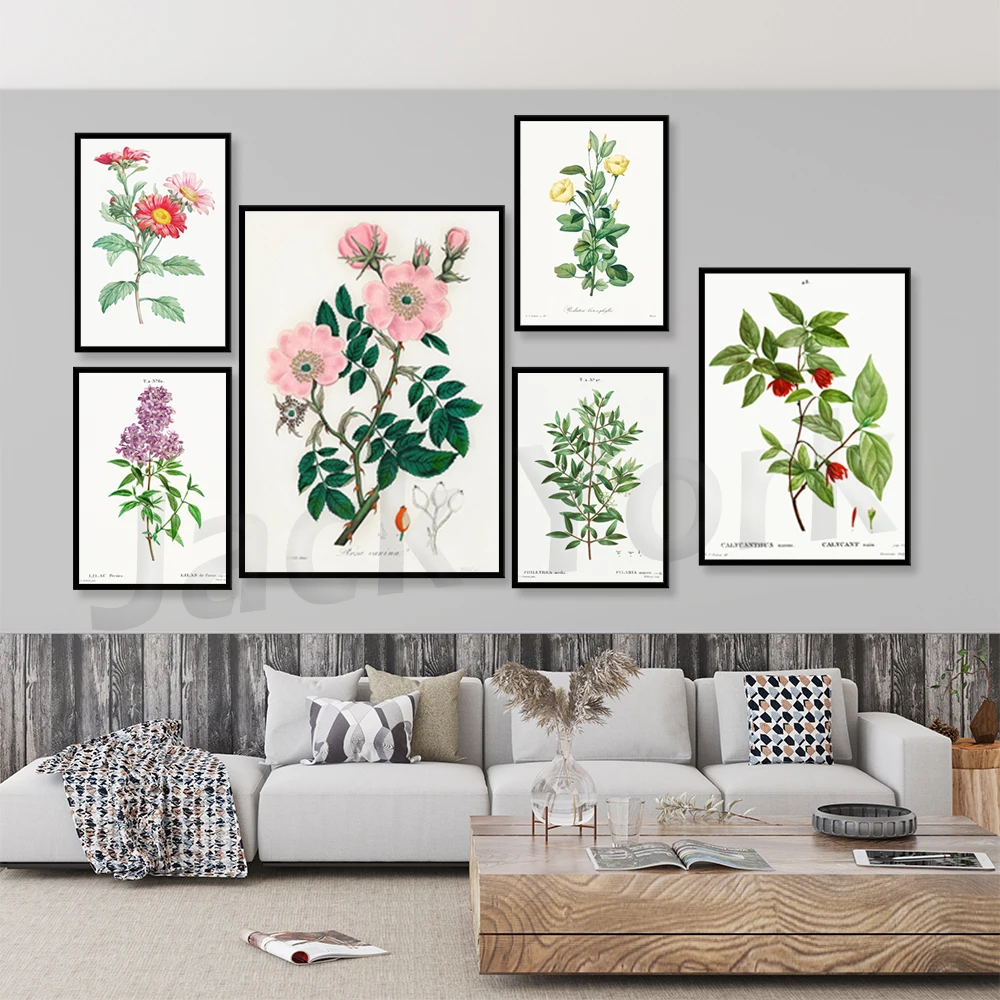 Vintage Botanical Illustration Poster Retro Antique Lithograph Farmhouse Boho Home Decor Wall Art Print