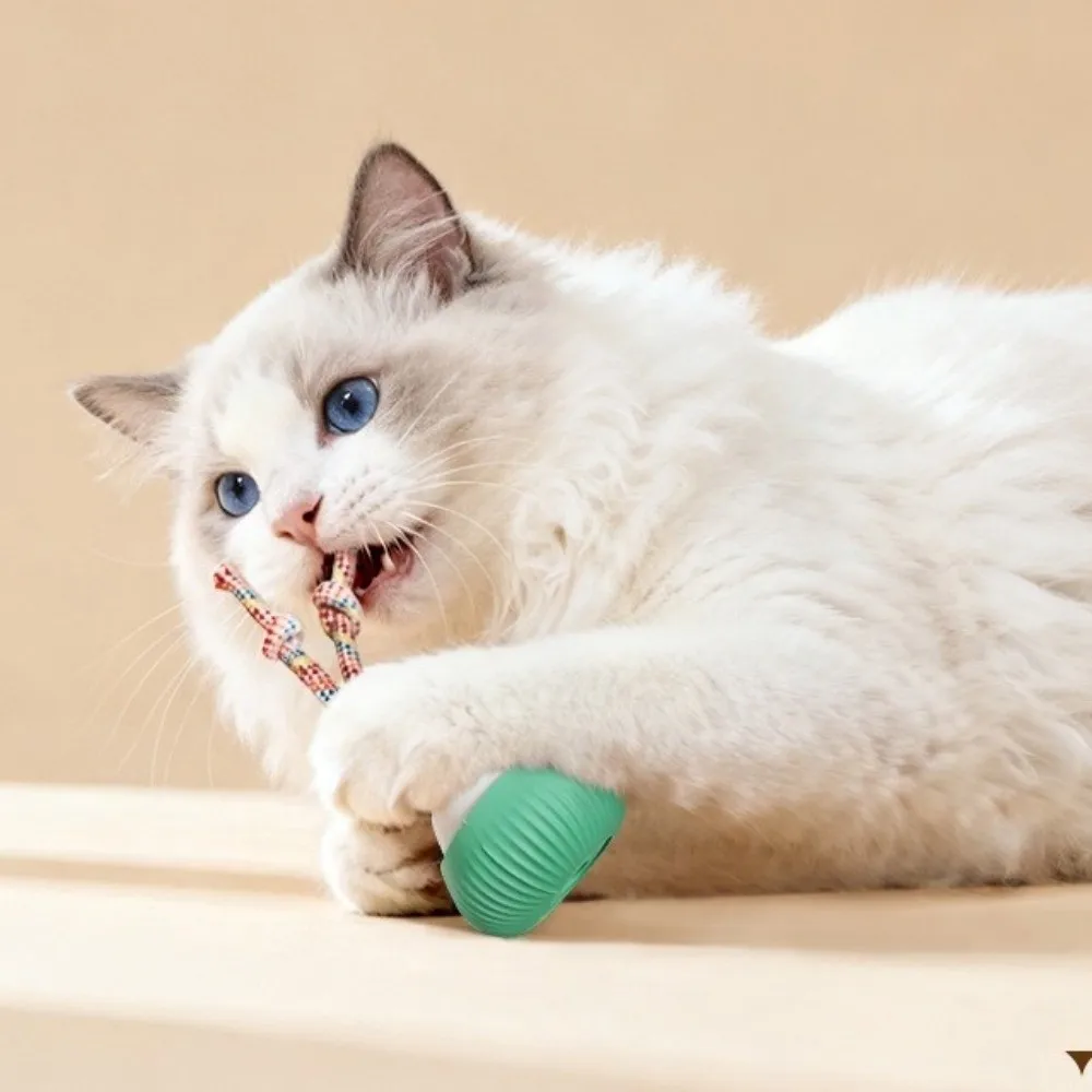 

Rechargeable Interactive Dog Ball Rotating Smart Automatic Rolling Ball Self Play Durable Moving Cat Indoor Play