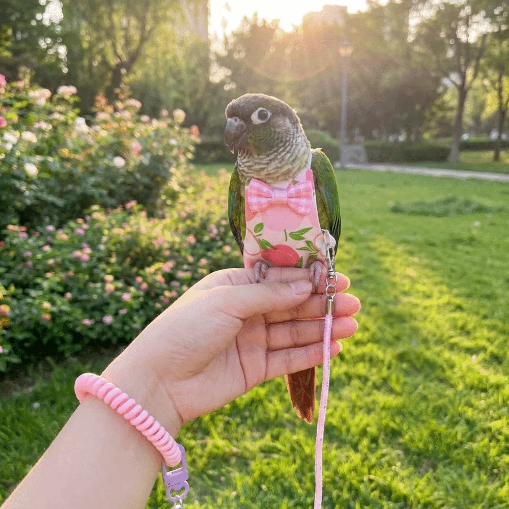 Adjustable Pet Parrot Diaper Breathable Fruit Pattern Bird Flight Suits Escape-Proof with Traction Rope Parrot Flying Clothes