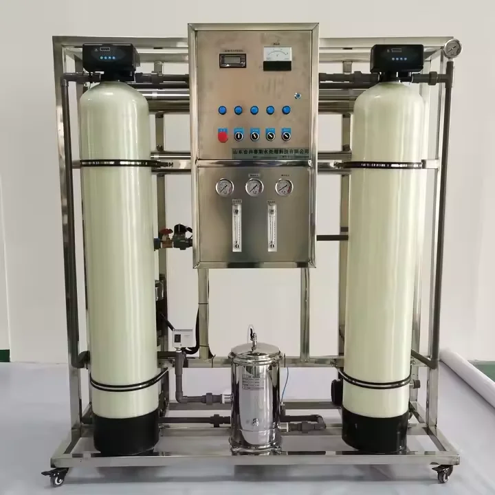 High Flow Industrial Pure Water Filter Treatment System Direct Drinking with Pump and Motor 220V