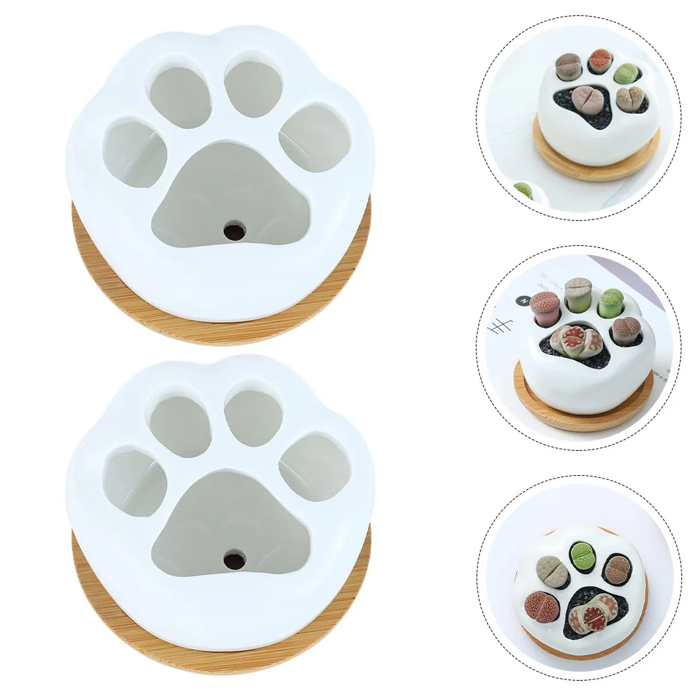 

2Sets Cat Paw Flower Pot Ceramic Small Succulent Plant Container for Indoor Outdoor Garden Home Office Decorative Planter
