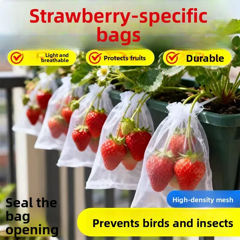 sac-filet-de-protection-pour-fruits-d'exterieur-special-fraises-myrtilles-raisins-pour-verger