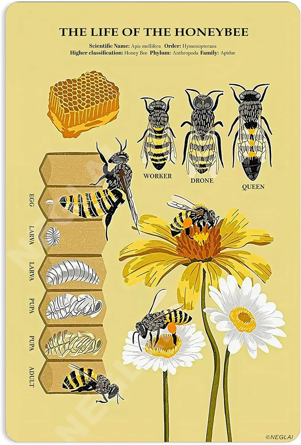 The Lfe Of The Honey Bee Knowge Metl Sgns Poster, Vntge Decortons Wll rt Decor 8x12 nches