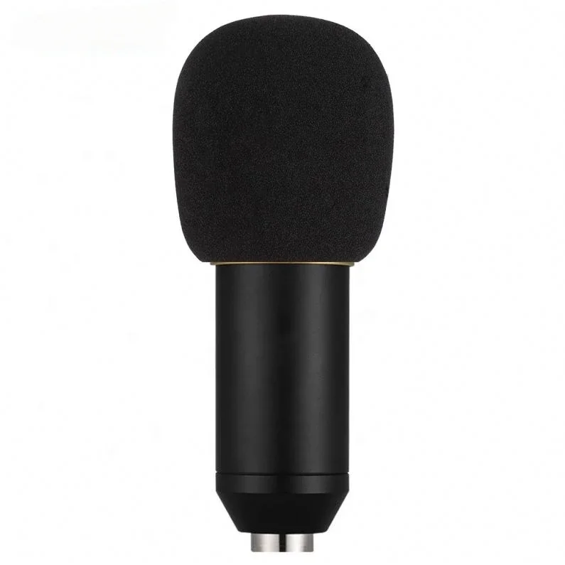 Professional Microphone Housing With CE Certificate