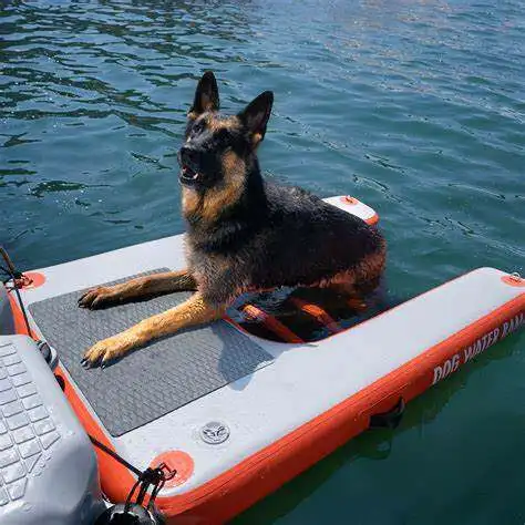 Dog Climbing Ladder, Water Entertainment, Skateboarding, Yacht Inflatable Combination, Surfing Board, Pet Water Auxiliary Board