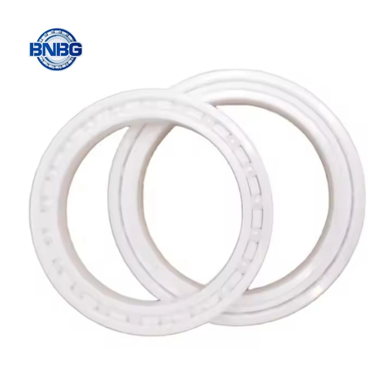 Zirconia Full Ceramic Bearings 6200 6201 6202 6203 6204 6205 6206 6207 6208 6209 6210 CE-2RS High Temperature Resistant
