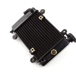 Water Cooling Tank Radiator For Bashan 200-7 250cc 200cc electric ATV UTV Go Kart Buggy Parts