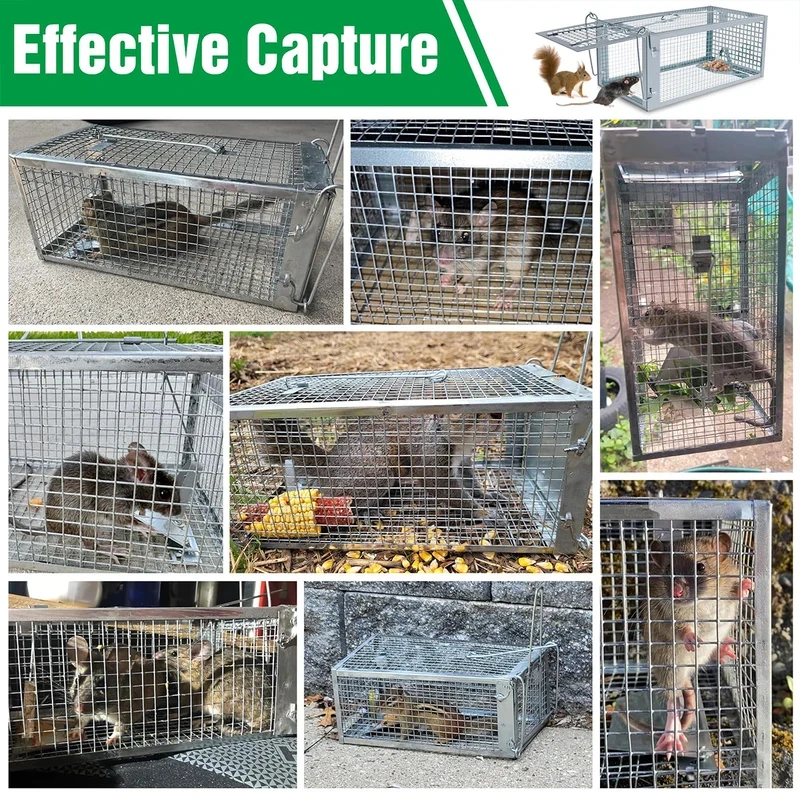 Thumbnail 3 - #7 Top 30 Pest Control Traps Worth Buying In 2026