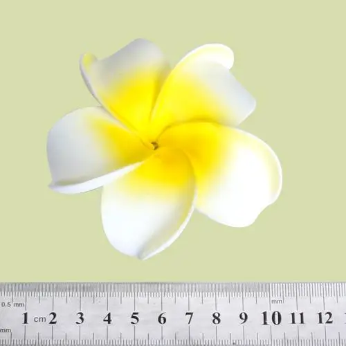 Hawaiian Plumeria Frangipani Foam Flower Women\\\\\\\\\\\\\\\'s Hair