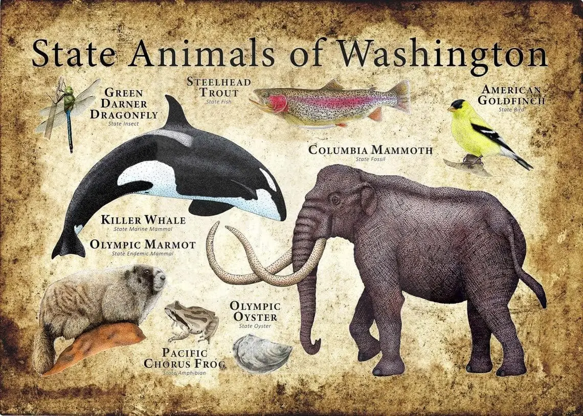 Vintage State Animals Of Washington Aluminium Metal Tin Sign 8x12 Inch Home Poster Bar Pub Decor