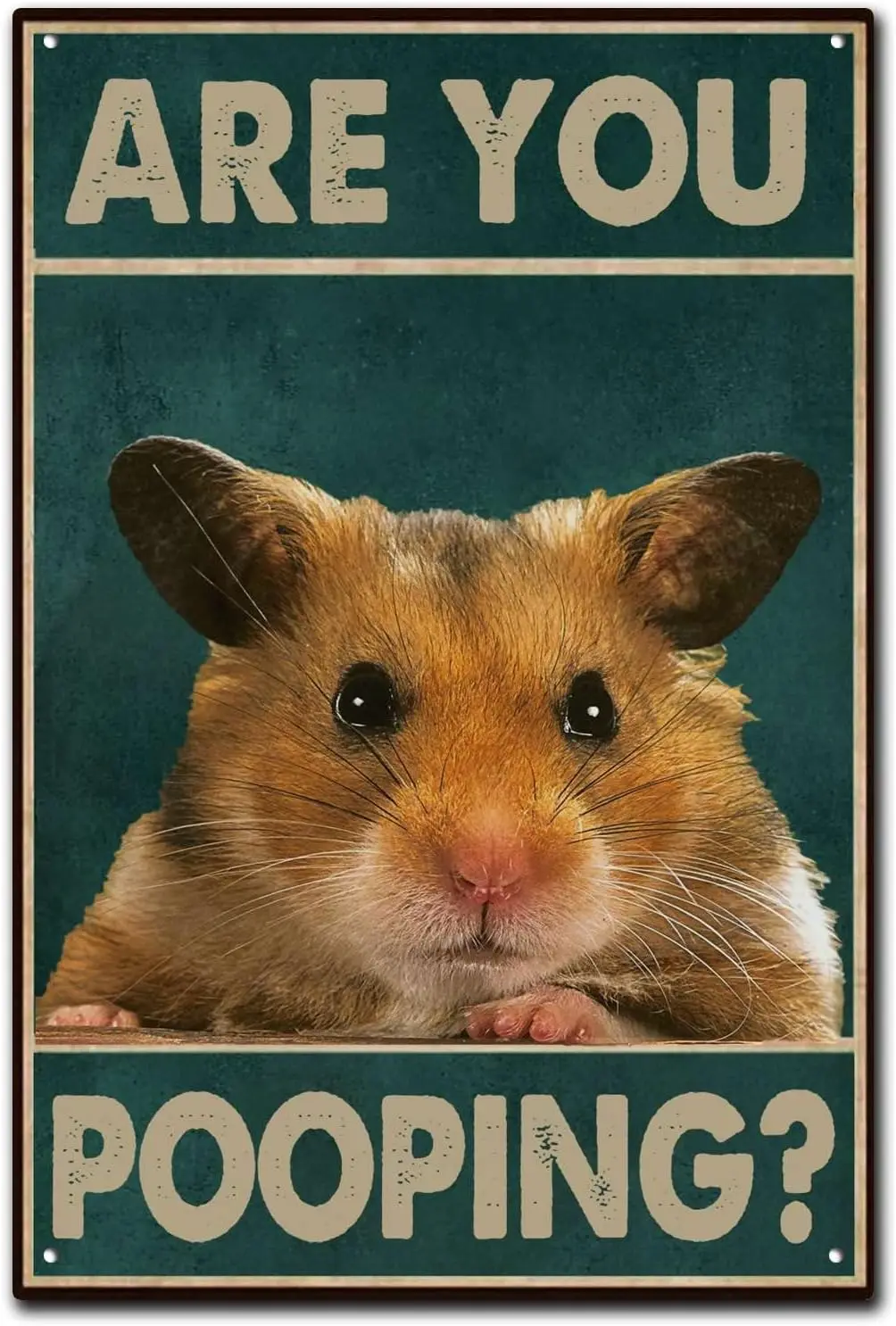 Funny Hamster are You Pooping Bathroom Decor 8X12inch/Tin Sign