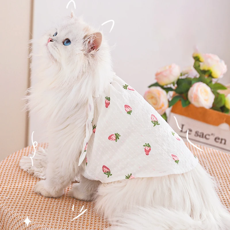 Cat Clothes Anti-Shedding Breathable Pet Kitten Kitten English Short Ragdoll Cat Pajamas Cat Cat Summer Thin Section