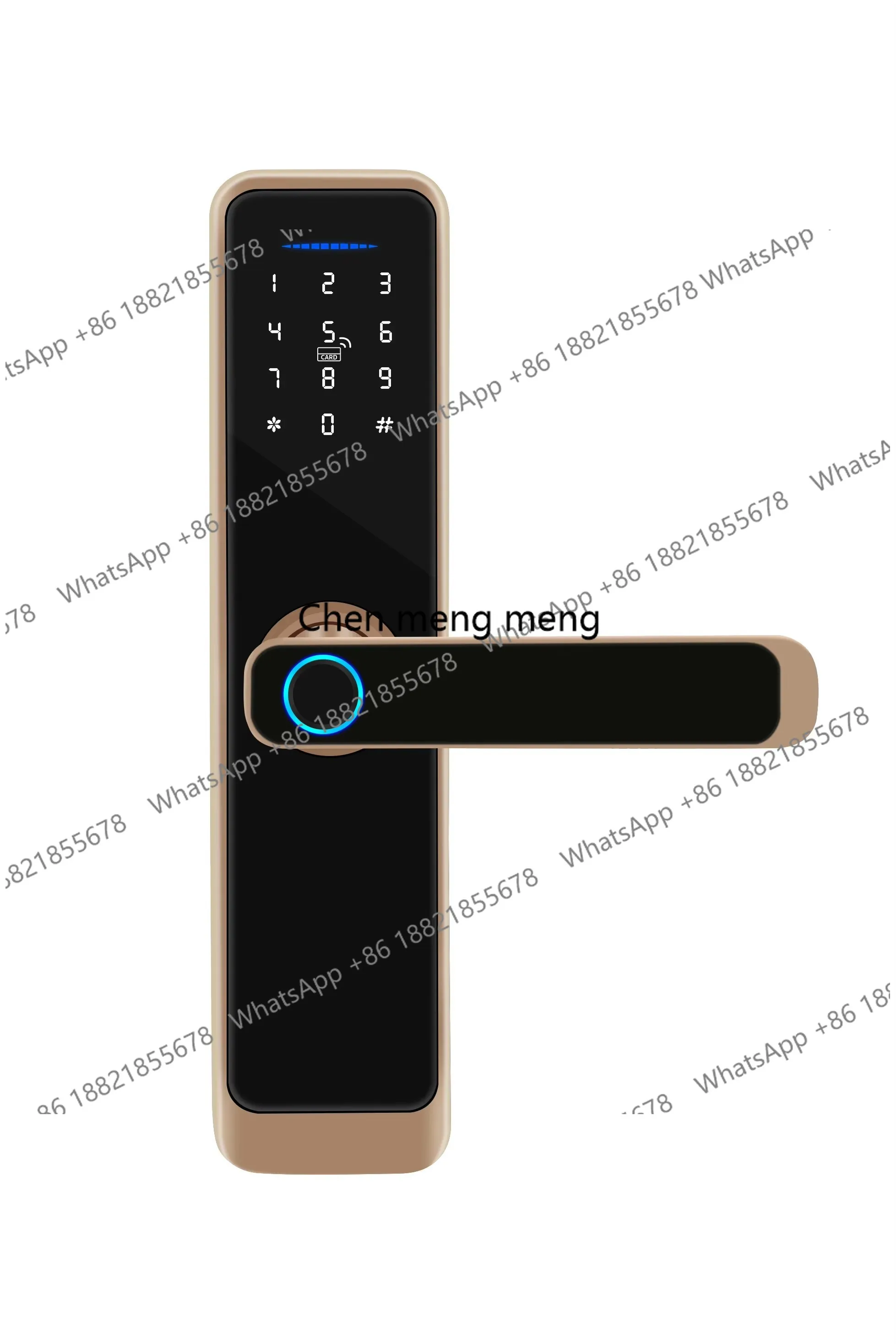 Smart Door Lock Digital Electronic Lock with Code Passcode, Electric Door Knob, Biometric Fingerprint Handle, Home Bedroom Doors
