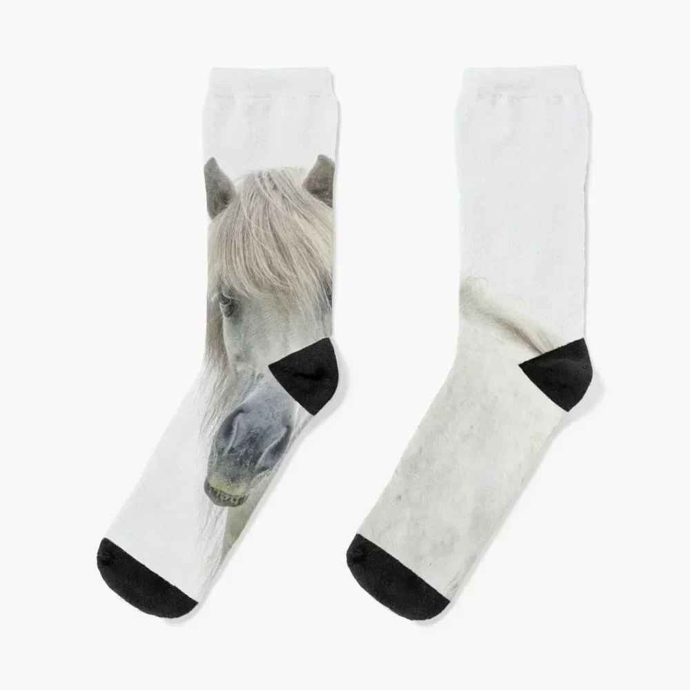 

Iceland horse Socks bright garter ankle custom Socks Men Women's