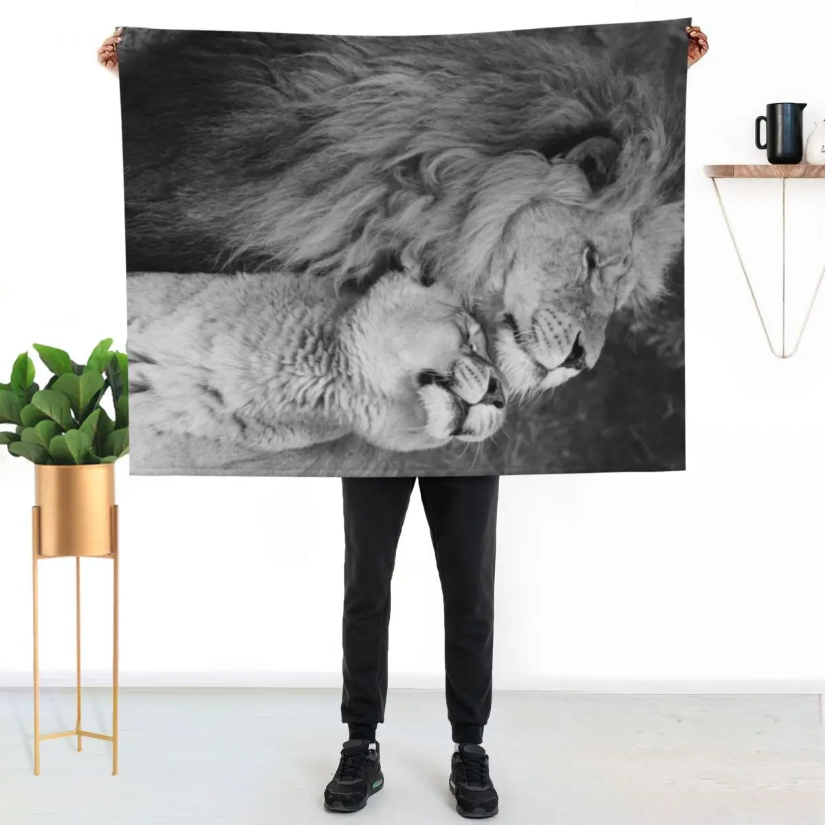 

Horizontal lions Throw Blanket Stylish Decor Blanket Gift for Friends Roommate