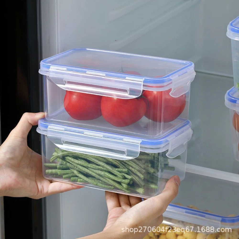 Contenitore per il pranzo in p - Meal Prep Containers Xl recensione e prezzo