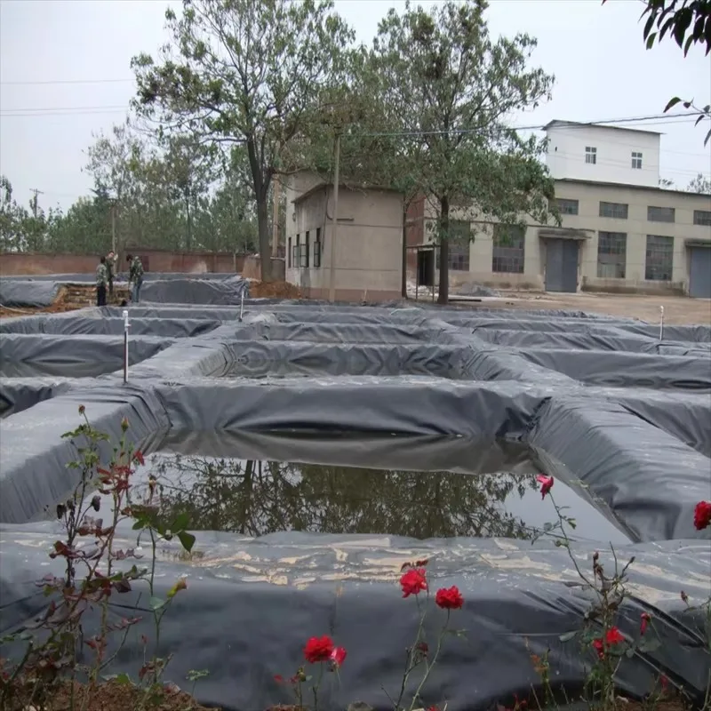 Factory Direct Custom HDPE Geomembrane for Fish Pond Water Storage Wastewater Landfill and Mining Projects Worldwide