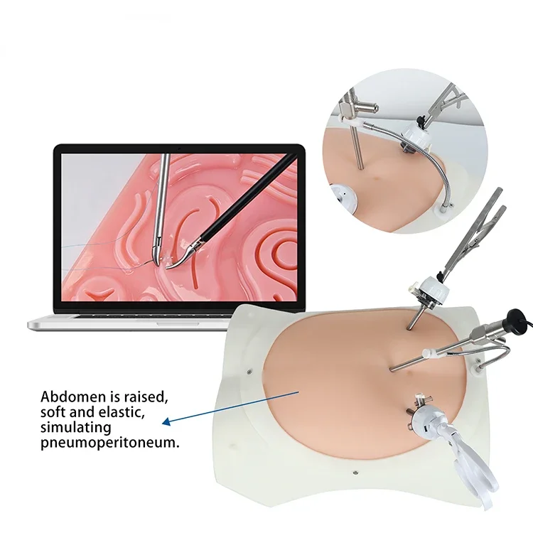 Advanced  Vivid Abdominal Laparoscopic Trainer Box simulator laparoscopic training box with endoscope camera