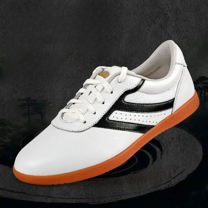 

2026 New Trend Martial Arts Shoes for Men Comfortable Taiji Shoe Mans Anti-Slip KungFu Shoes Men Unisex Tai Chi shoes For Mens