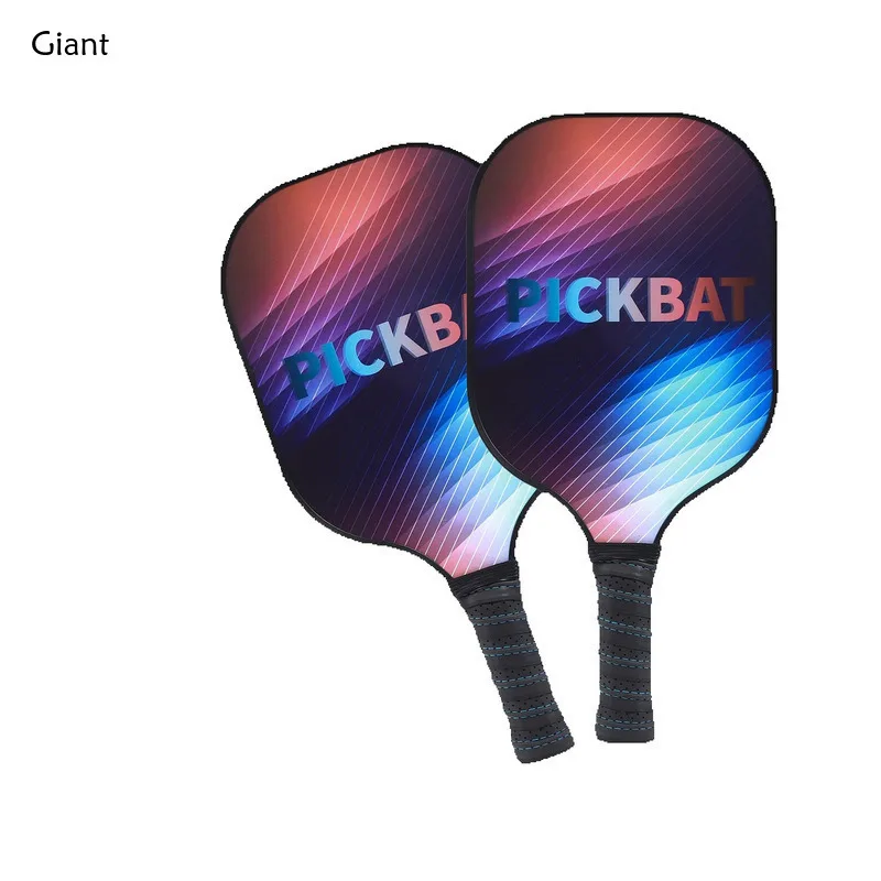 

Pickleball Paddles Set-USAPA Approved Graphite Pickleball Set of 2 Rackets 4 Pickleballs Balls Beach Pickleball Racquet