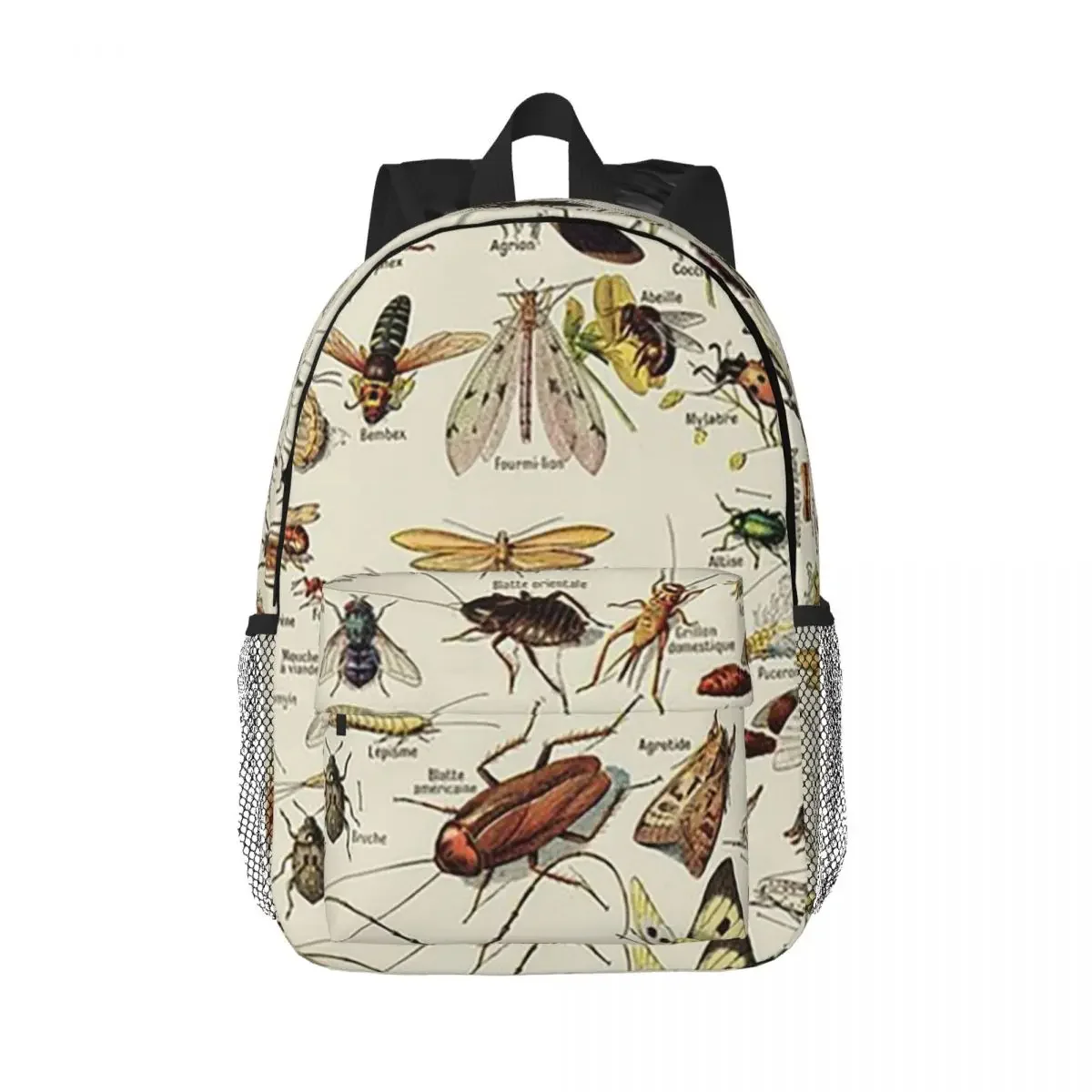 

Insects Chart. Scientific Illustration, Text In French Backpacks Boys Girls Bookbag Children School Bags Rucksack Shoulder Bag