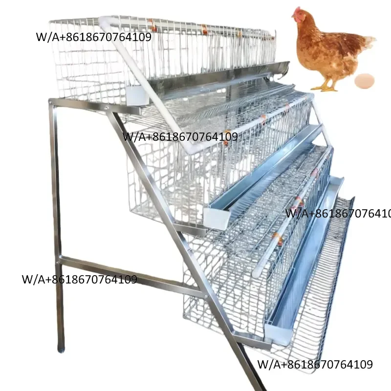 Automatic poultry brooding cage system battery design for efficient production and chicken rearing