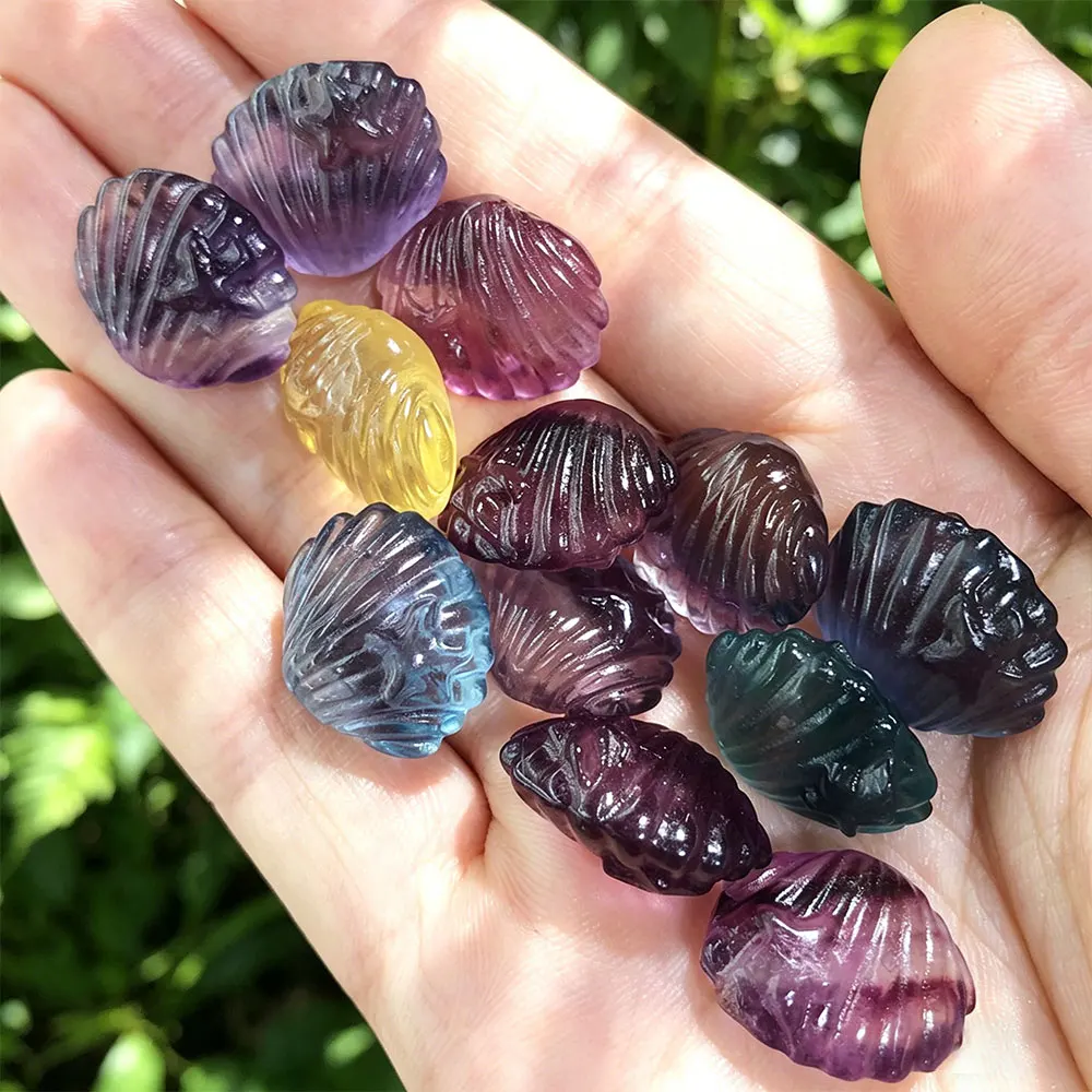 Natural Stone Crystal Carving Mini Fluorite Carvings Shells Crystals Stones Healing Statue Figure Home Decorations DIY Crafts