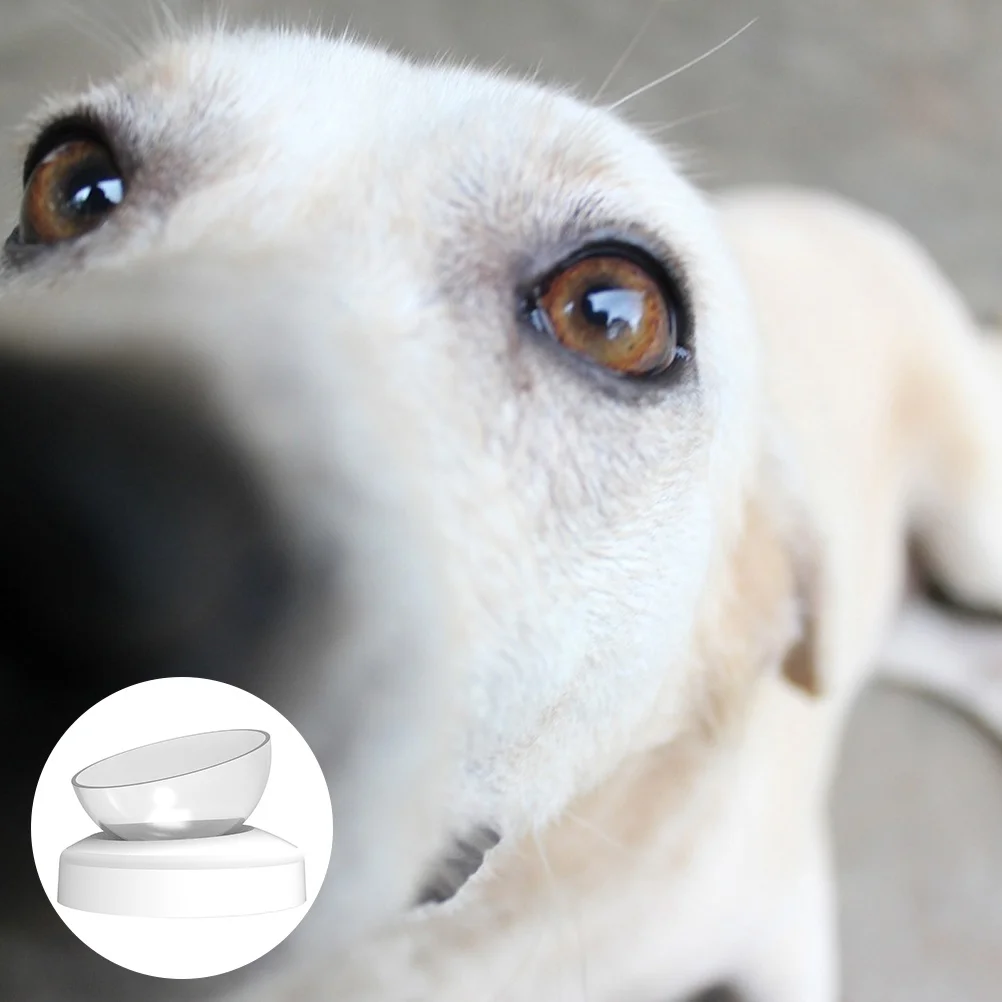 

1pc Cats Abs 20 Degrees Adjustable Elevated Feeder Food Water Pet Feeding Food Water Bowl Pet Feeding Bowl Supplies