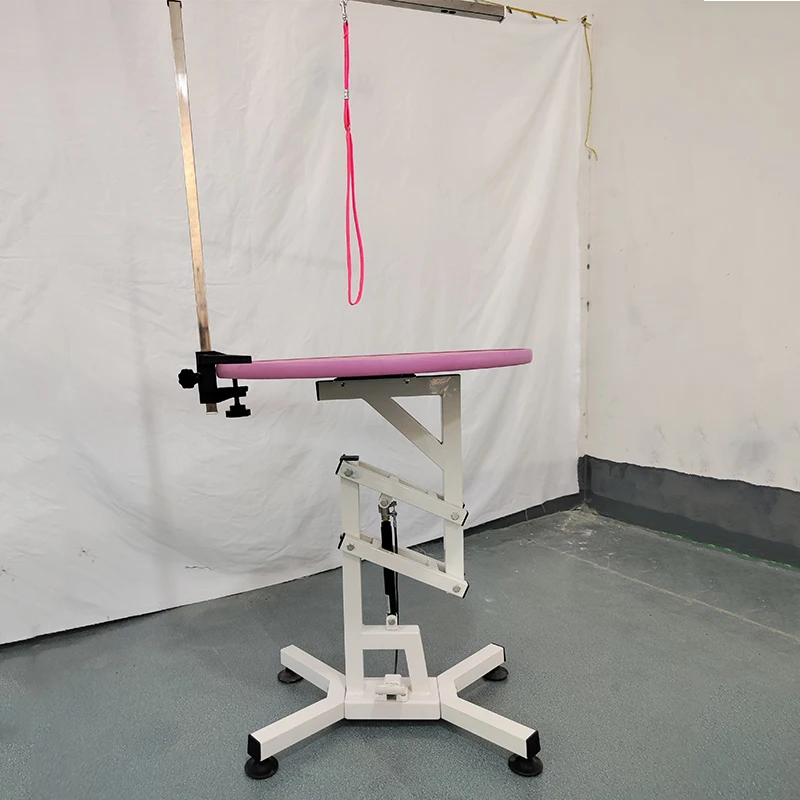 Professional Hydraulic Pet Grooming Table Adjustable Height Dog Grooming Station with Non Slip Surface and Grooming Arm