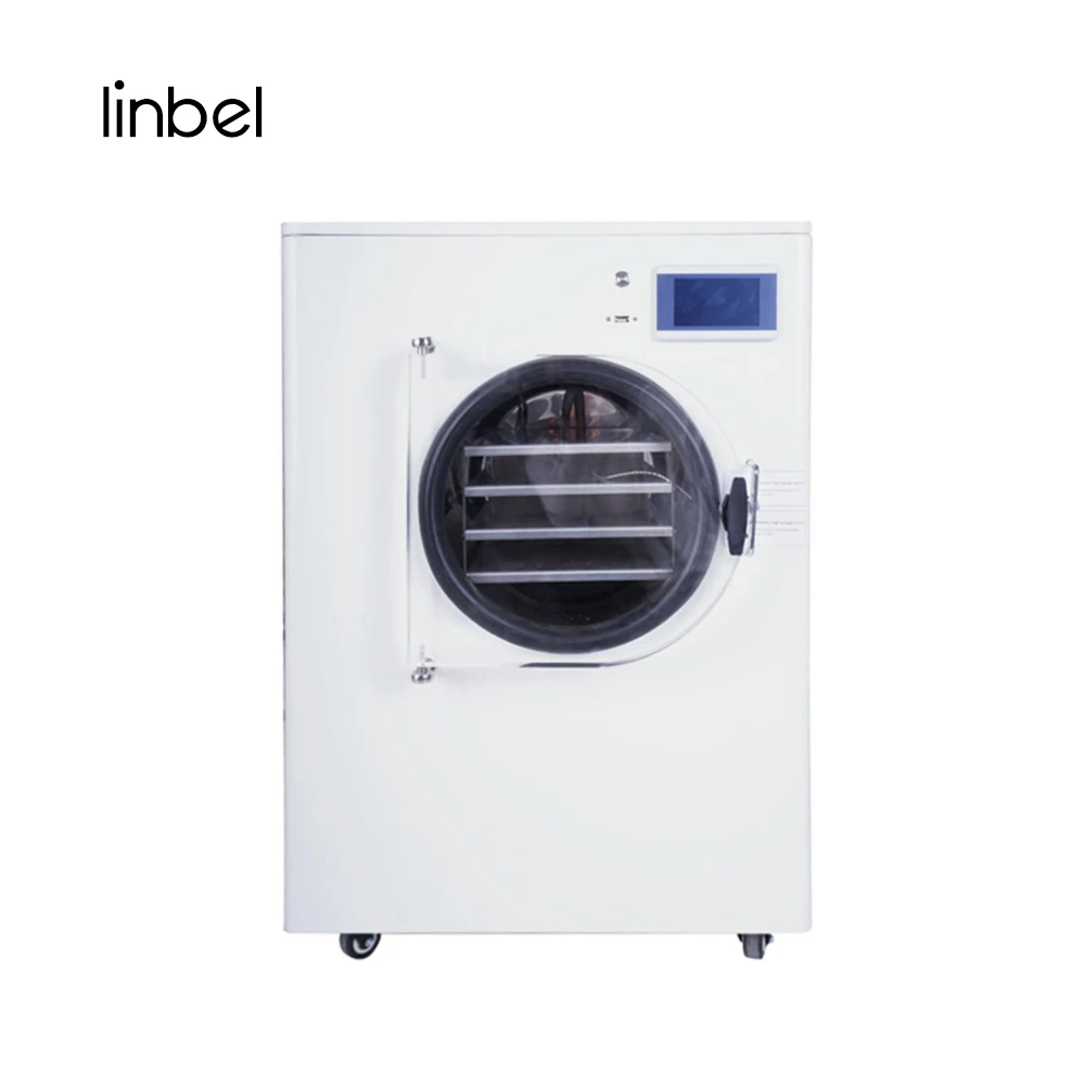 Home Lyophilization Homemade Food Freeze Dryer Household Vacuum Pump Freeze Dryer