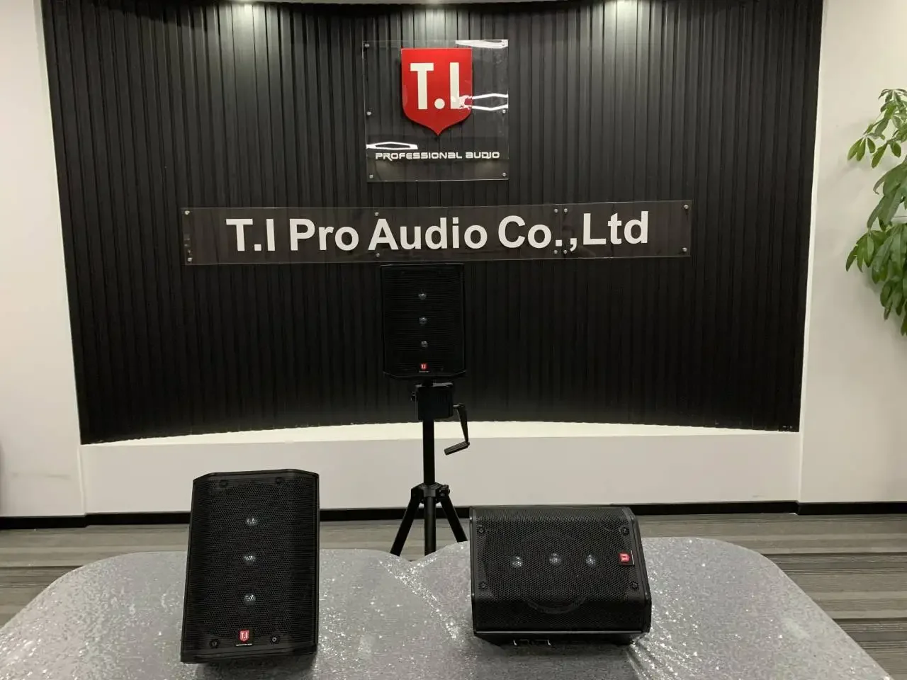 TI Pro Audio piccolo sistema pa portatile altoparlante full range scatola altoparlanti per feste con batteria bluetooth attiva da 6,5 pollici